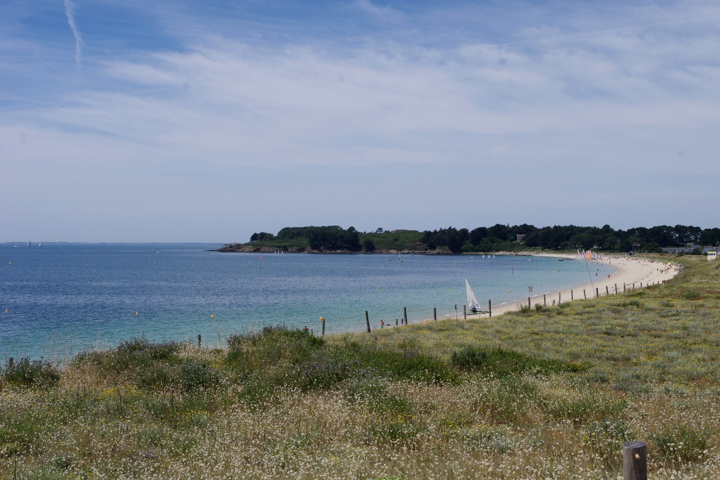 Arzon[1].webp